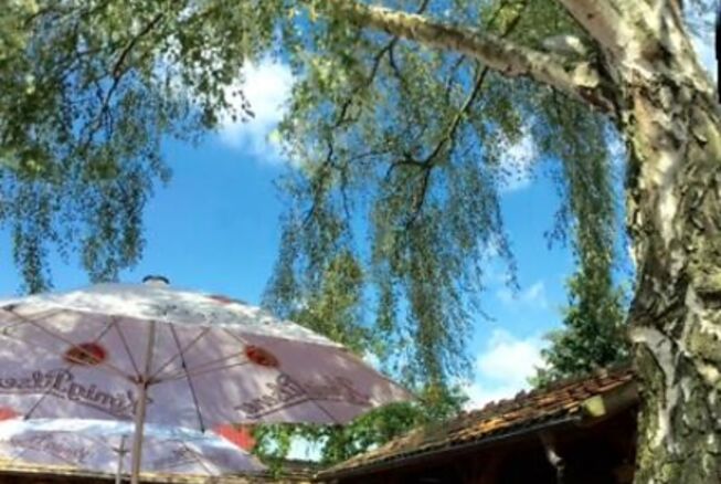 Bild vergr&ouml;&szlig;ern: Restaurant Die Buhne, Hofgarten