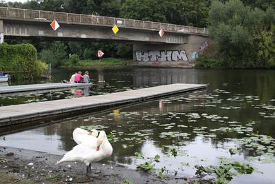 Bild vergrößern: Havelbrücke - nicht alle Graffiti sind auch Kunst