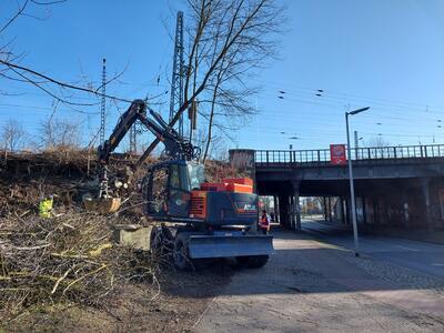 Bild vergrößern: Baumfällungen am Bahndamm Marwitzer Straße zeugen davon, dass der Abriss und Neubau der Brücken bald beginnt.