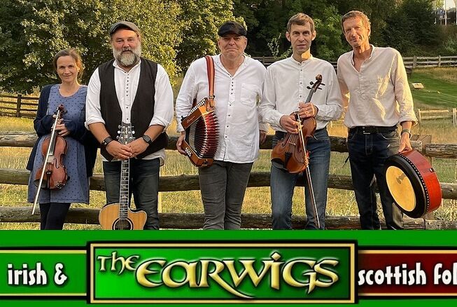 Bild vergr&ouml;&szlig;ern: earwigs
