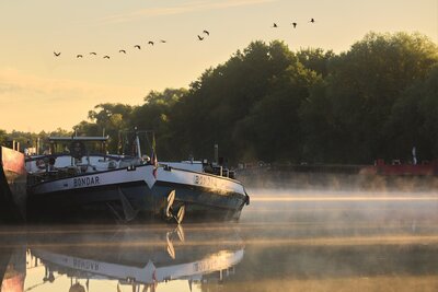 Bild vergr&ouml;&szlig;ern: Mystisch steigt Dunst aus der Havel, dar&uuml;ber fliegen die Kraniche hinweg. Die Aufnahme ziert eines der Kalenderbl&auml;tter f&uuml;r 2027.