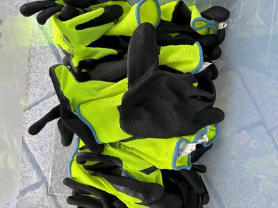Bild vergr&ouml;&szlig;ern: 19092026 - Cleanup Day Handschuhe - Foto Andrea Linne