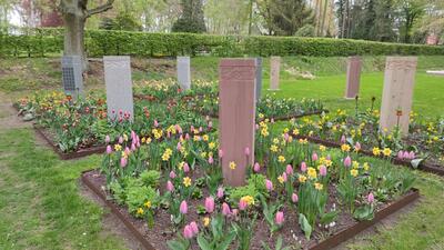 Bild vergrößern: Stelenfeld im Frühling auf dem Waldfriedhof Hennigsdorf